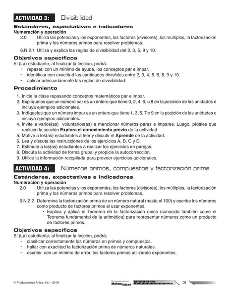 AM-L005CG Entendiendo las matemáticas - 6to Grado (Manual de