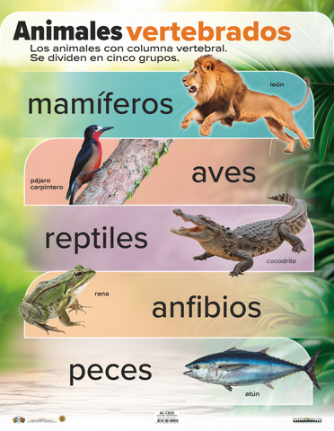 AC-C825 Animales vertebrados