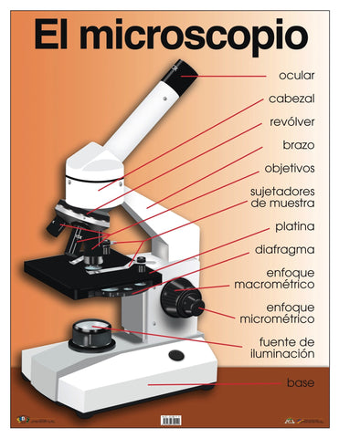 AC-C811 El Microscopio