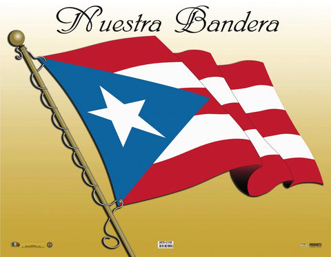 AES-C102 La Bandera de Puerto Rico