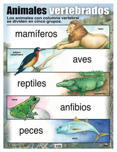 AC-C825 Animales vertebrados